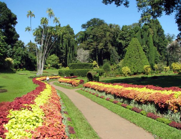 Royal Botanical Gardens of Kandy