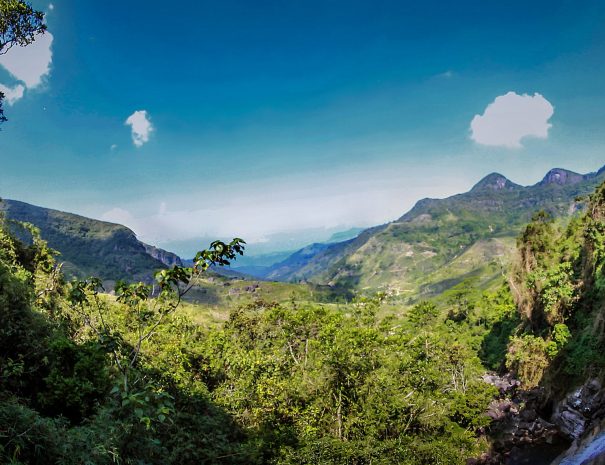 Knuckles Mountain Range