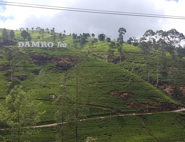 Nuwara Eilya