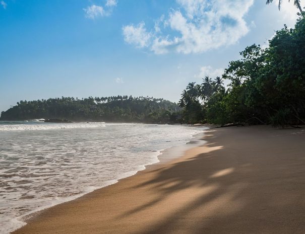 Mirissa Beach