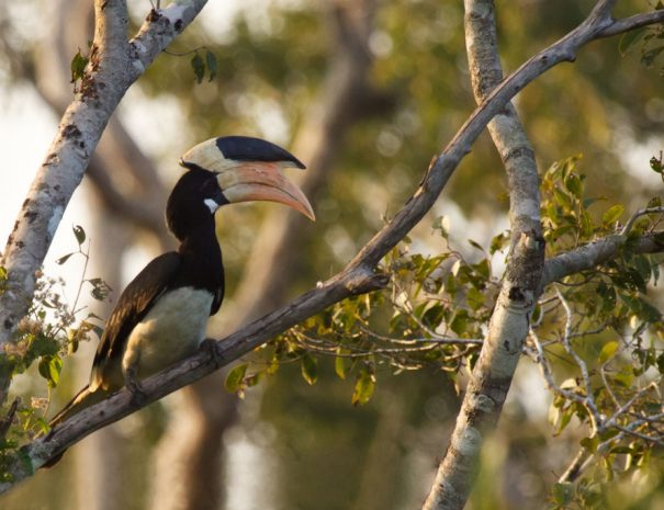 Wilpattu National Park