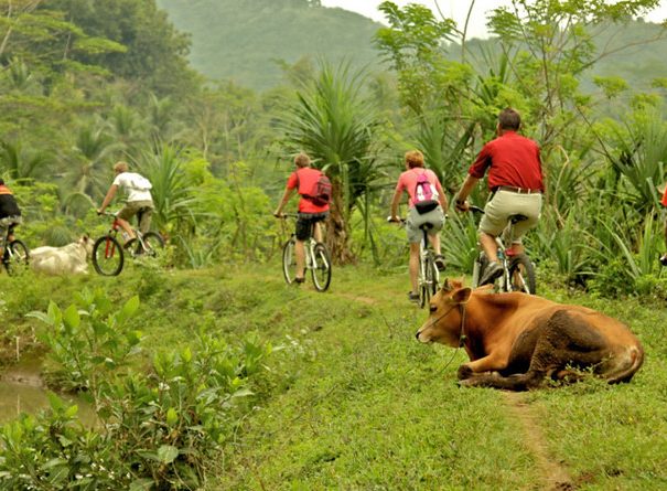 Sri Lanka Cycle